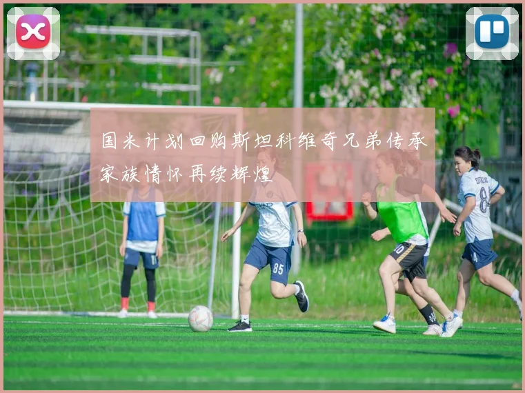 国米计划回购斯坦科维奇兄弟传承家族情怀再续辉煌